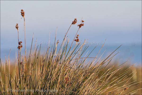 05581- Northam Burrows