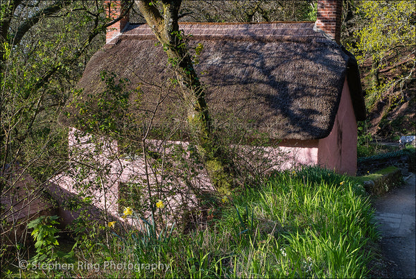 05681 - Peppercombe