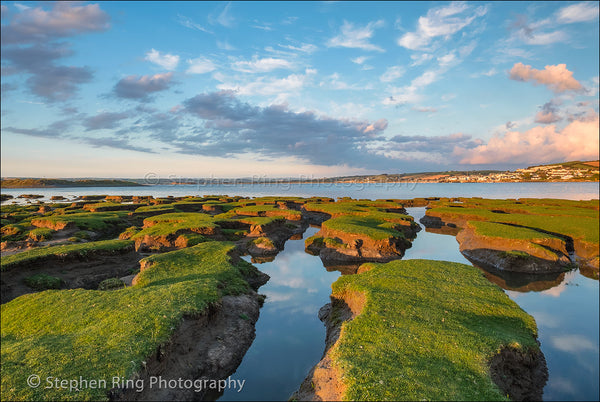 05691 - Northam Burrows