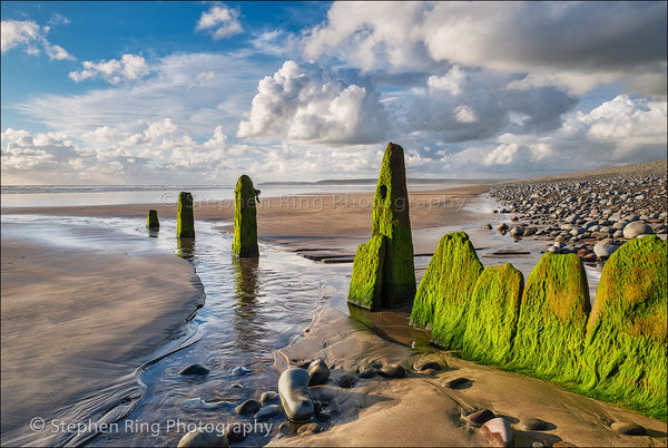 05699 - Westward Ho!