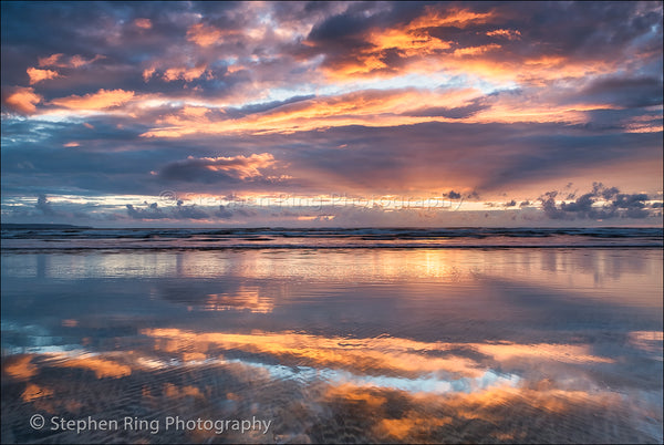 05715- Westward Ho!