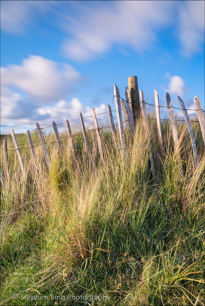 05747 - Northam Burrows