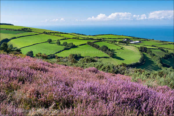 05753 - Exmoor