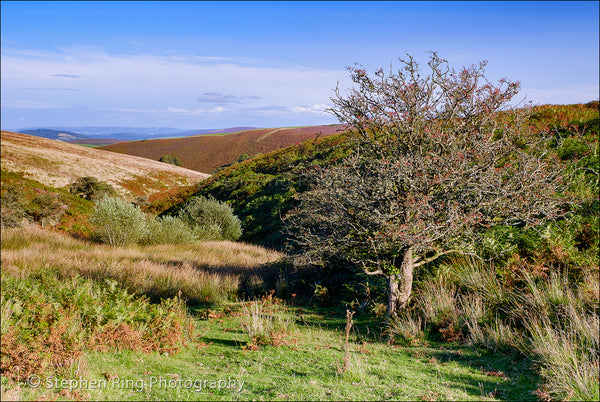 05757 - Exmoor
