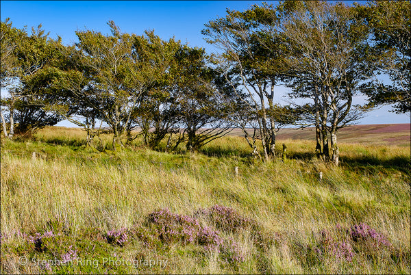 05758 - Exmoor