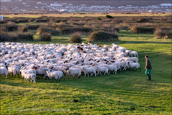 05766 - Northam Burrows