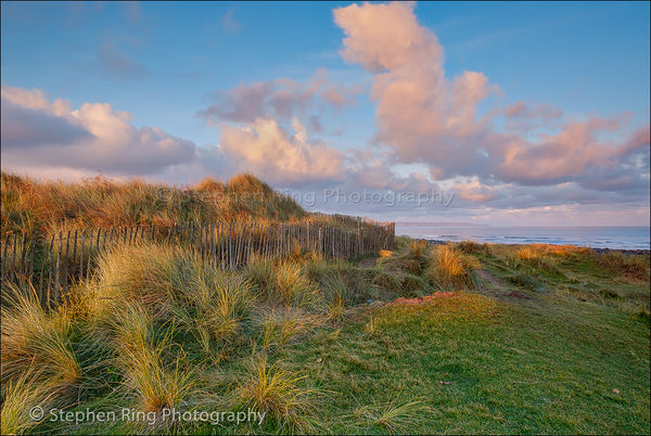 05771 - Northam Burrows