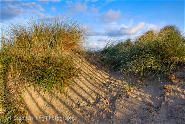 05773 - Northam Burrows