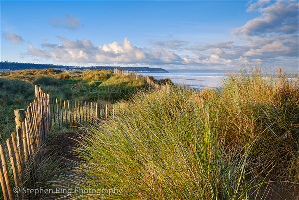 05774 - Northam Burrows