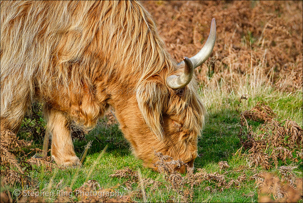 05783 - Exmoor