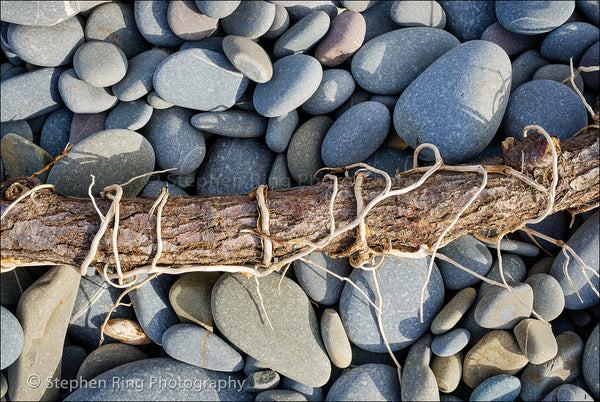 05813 - Westward Ho!