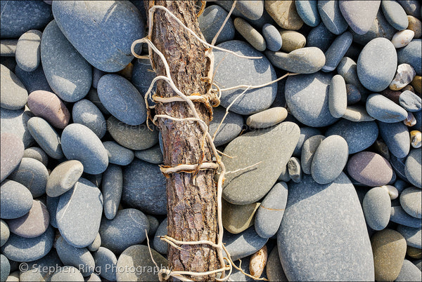 05814 - Westward Ho!