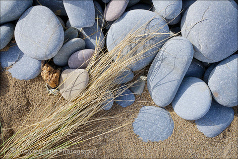 05816 - Westward Ho!