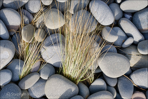 05817 - Westward Ho!