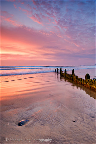 05936 - Westward Ho!