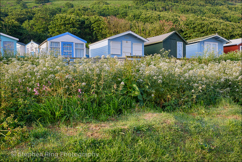 05951 - Westward Ho!