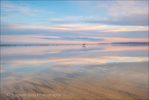 05975 - Westward Ho!