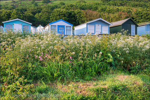 05996 - Westward Ho!