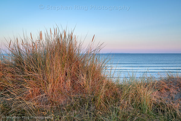 05997 - Northam Burrows