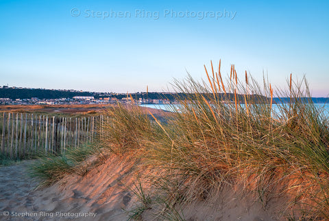 05998 - Northam Burrows