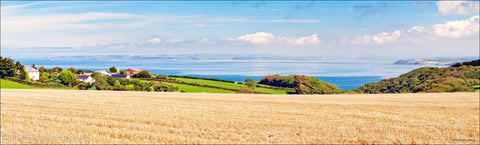 06008 - Panoramic