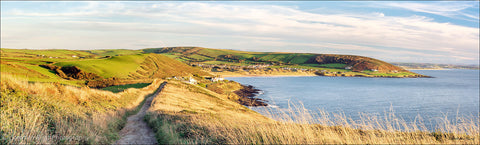 06013 - Panoramic