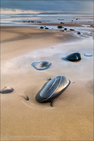00625 - Westward Ho!