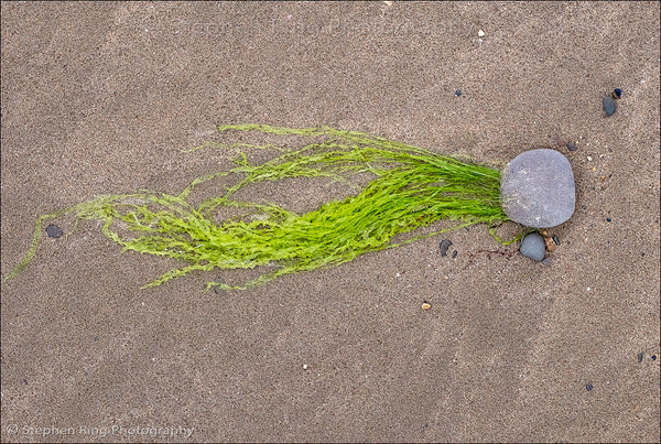 06432 - Westward Ho!