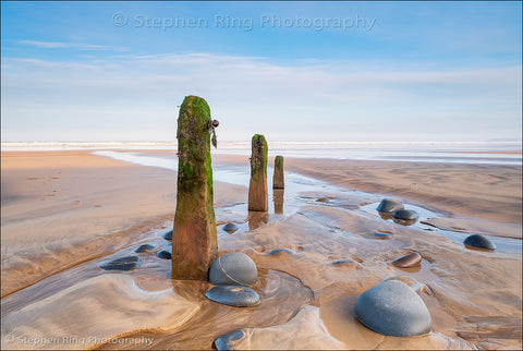 06442 - Westward Ho!
