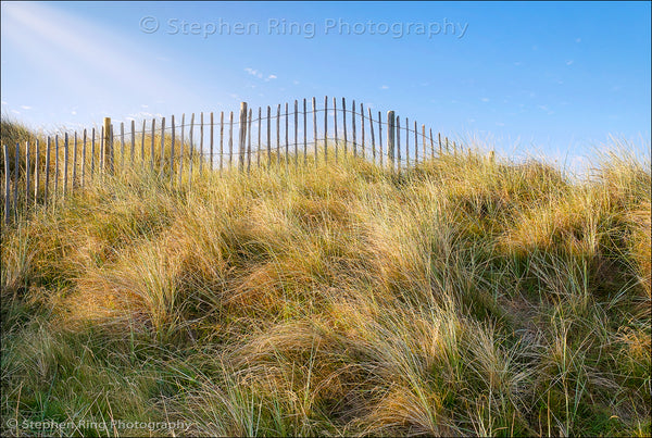 06449 - Northam Burrows