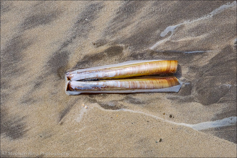 06450 - Northam Burrows
