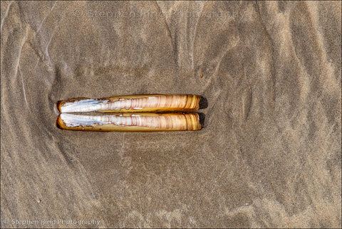 06451 - Northam Burrows