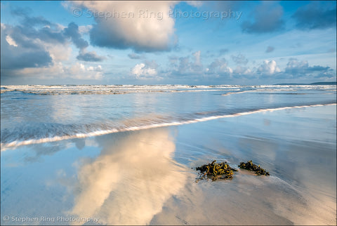06458 - Westward Ho!