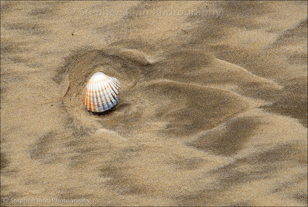 06465 - Northam Burrows