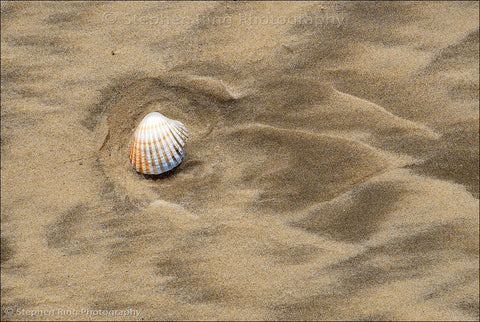 06465 - Northam Burrows