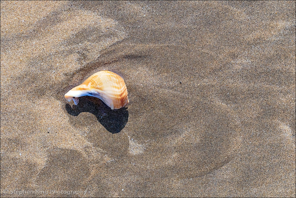 06466 - Northam Burrows