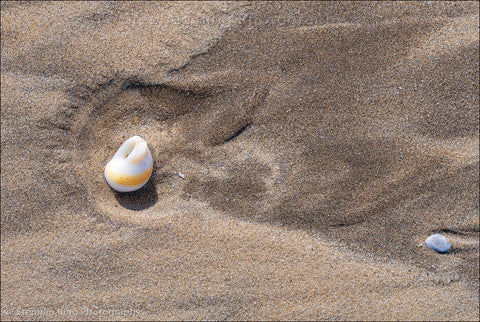 06467 - Northam Burrows