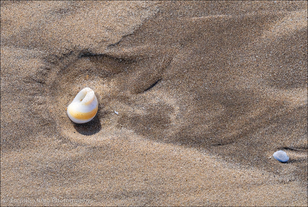 06467 - Westward Ho!