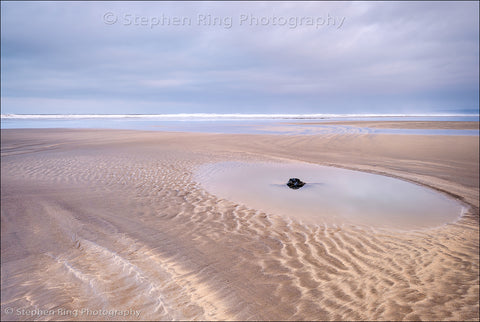 06567 - Westward Ho!