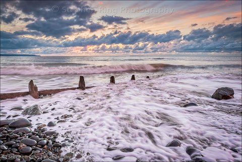 06604 - Westward Ho!