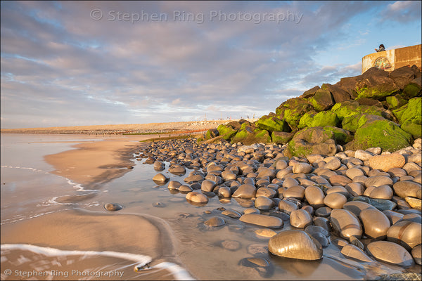 06685 - Westward Ho!