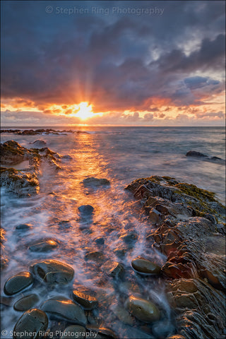 06713 - Westward Ho!