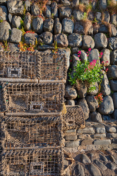 06718 - Clovelly