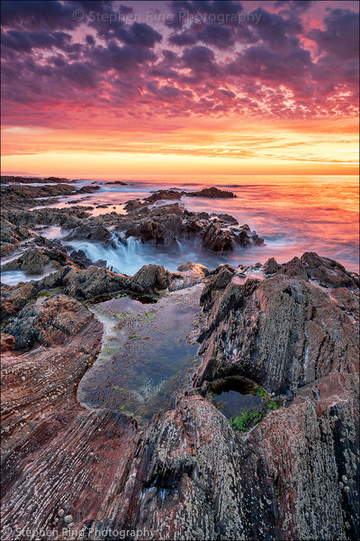 06749 - Westward Ho!
