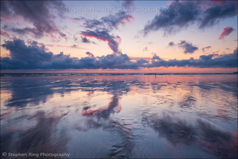 06764- Westward Ho!