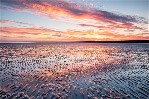 06781 - Westward Ho!