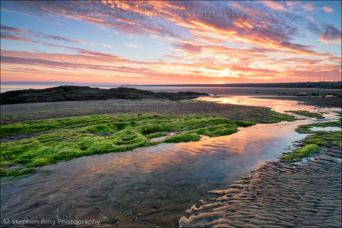06783 - Westward Ho!
