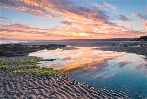 06784 - Westward Ho!