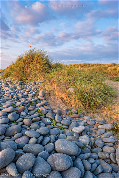 06800 - Northam Burrows