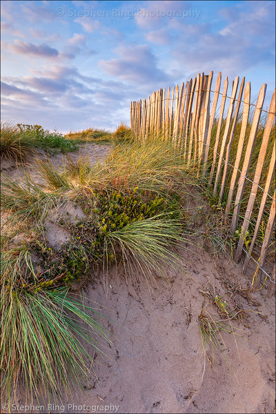 06803 - Northam Burrows